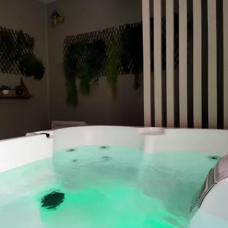 Centre-ville, Climatisation, Spa, Garage Апартаменты *