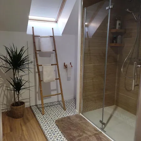 Centre-ville, Climatisation, Spa, Garage Виши
